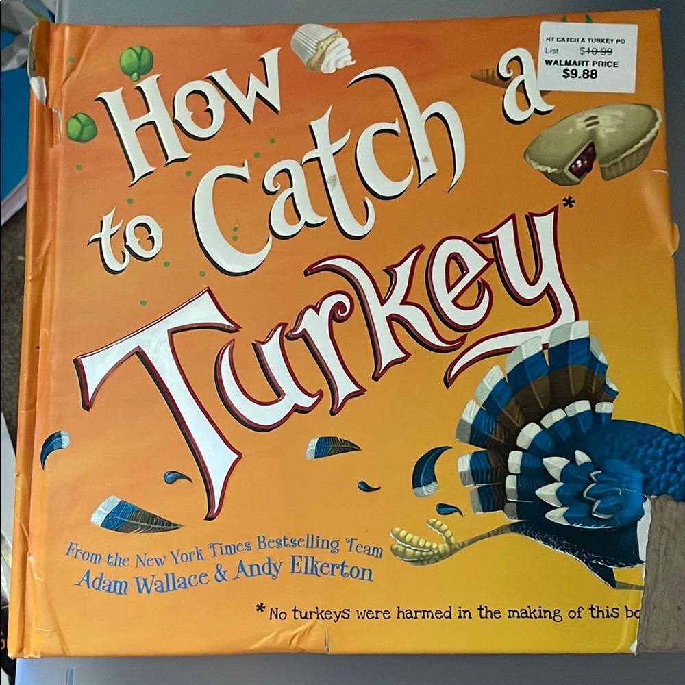 How to Catch a Turkey Book